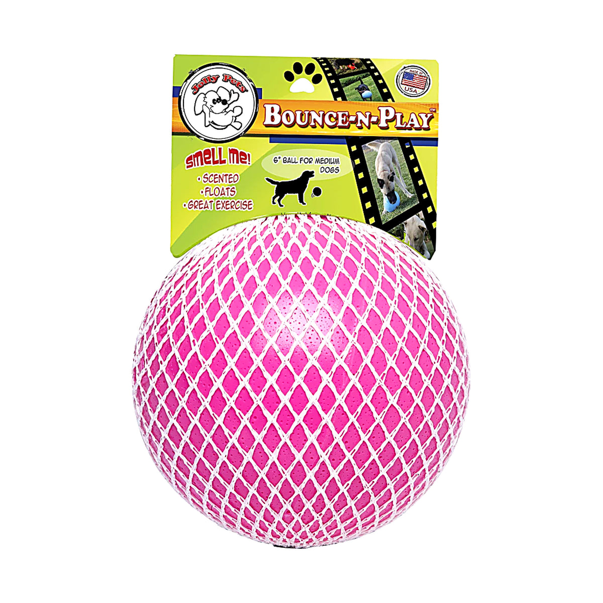 hond speelt met de Jolly Bounce-n-Play zoals hij geleverd wordt