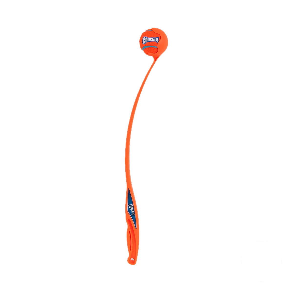 hond speelt met de oranje Chuckit Sport Launcher van 66 centimeter