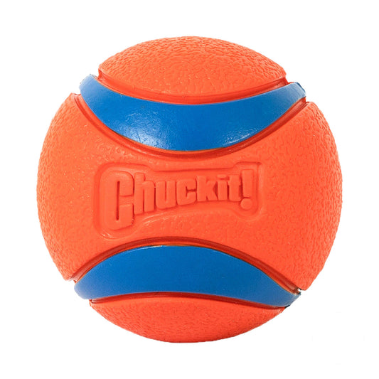 hond speelt met oranje Chuckit Ultra Ball van 6,4 centimeter