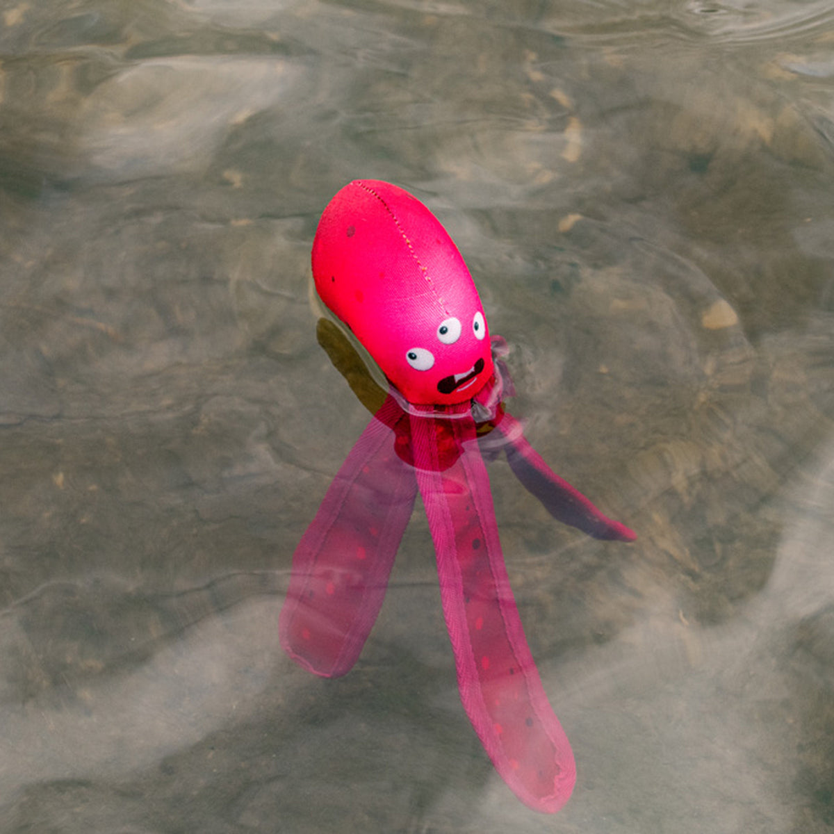 hond speelt met de Dog Comets Alien Octo die op het water drijft