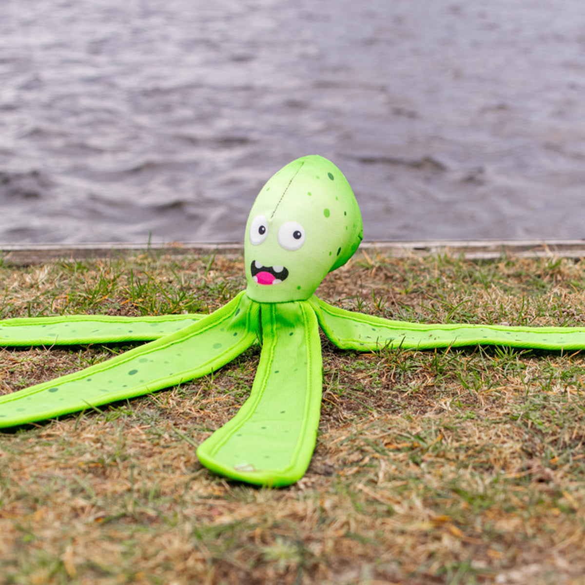 hond speelt met de groene Dog Comets Alien Octo in het gras