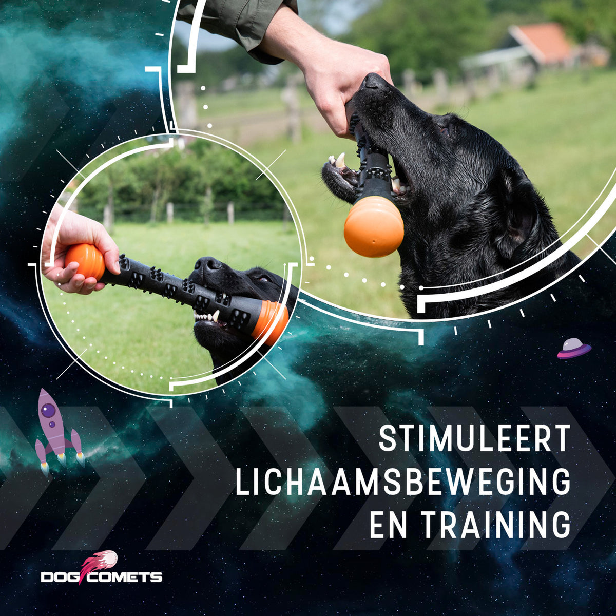 hond speelt met de Dog Comets Meteor werpstok en pakt hem aan in het gras