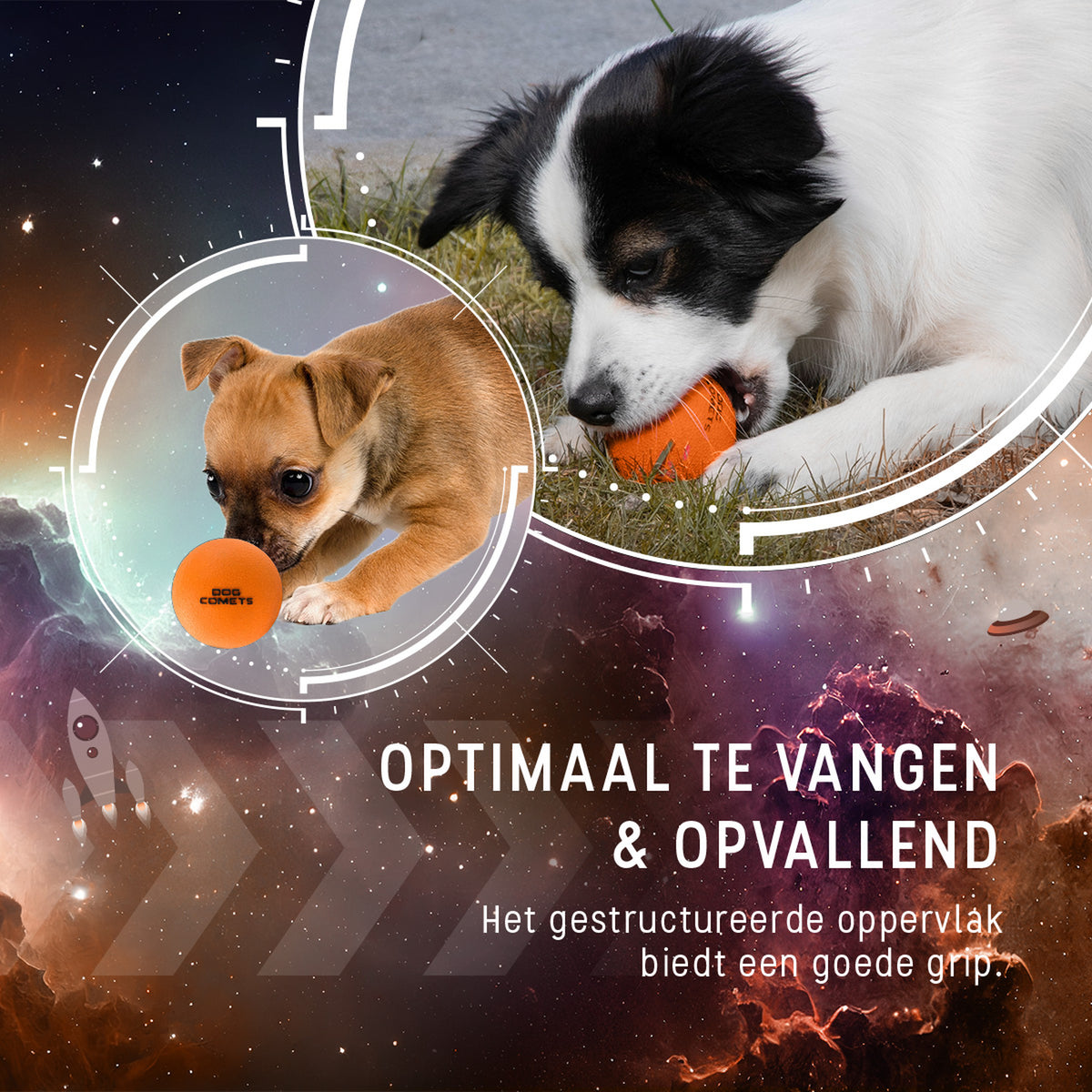 hond speelt met de Dog Comets Stardust bal in het gras
