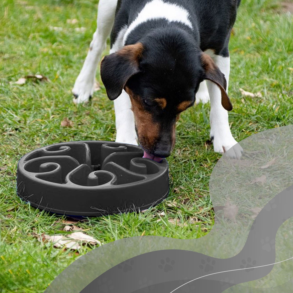 hond speelt met de Eat Slow Live Longer Original en eet eruit in het gras
