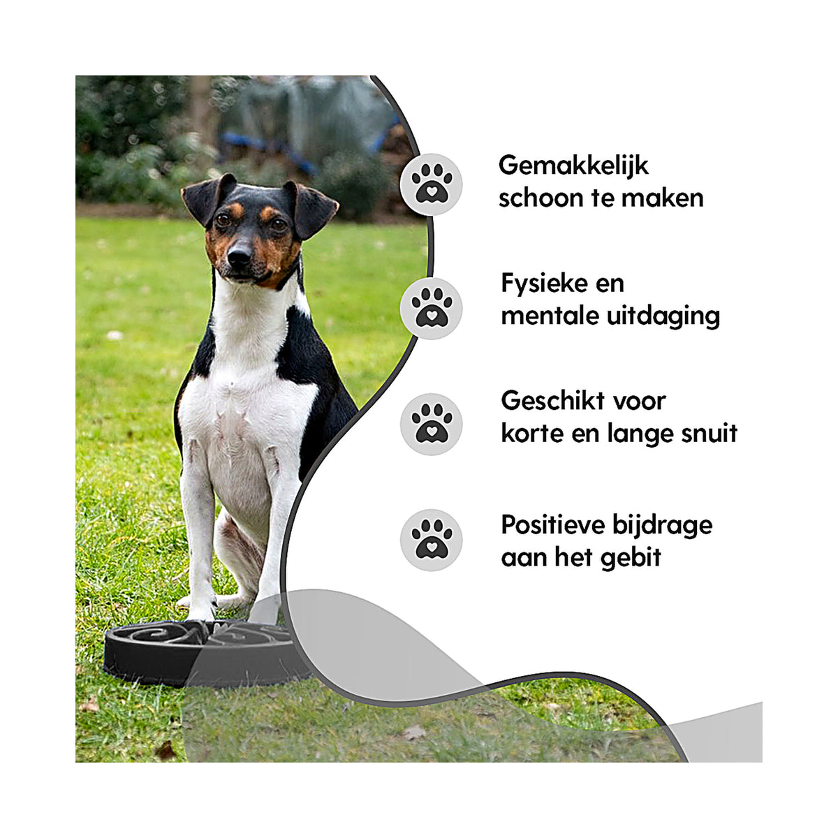 hond speelt met de Eat Slow Live Longer Original die geschikt is voor korte en lange snuiten