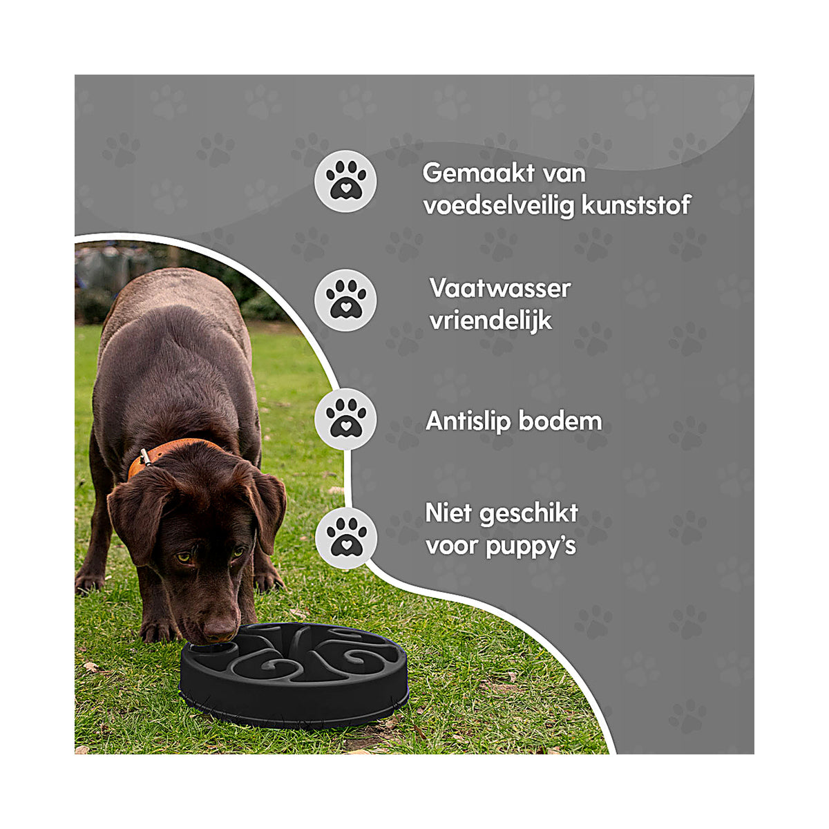 hond speelt met de Eat Slow Live Longer Original van voedselveilig kunststof met antislip bodem